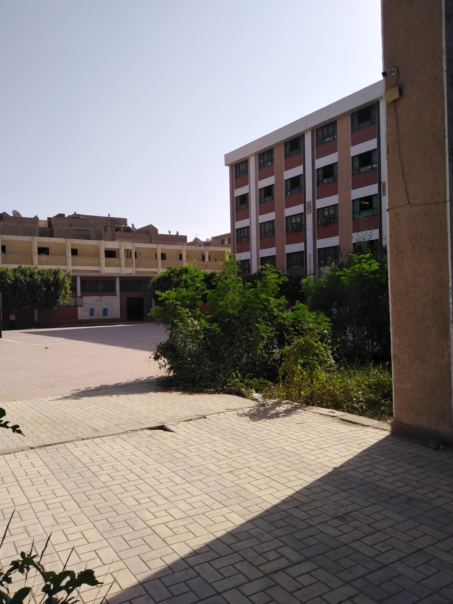 مدرسة المنيا الثانوية الصناعية بنات