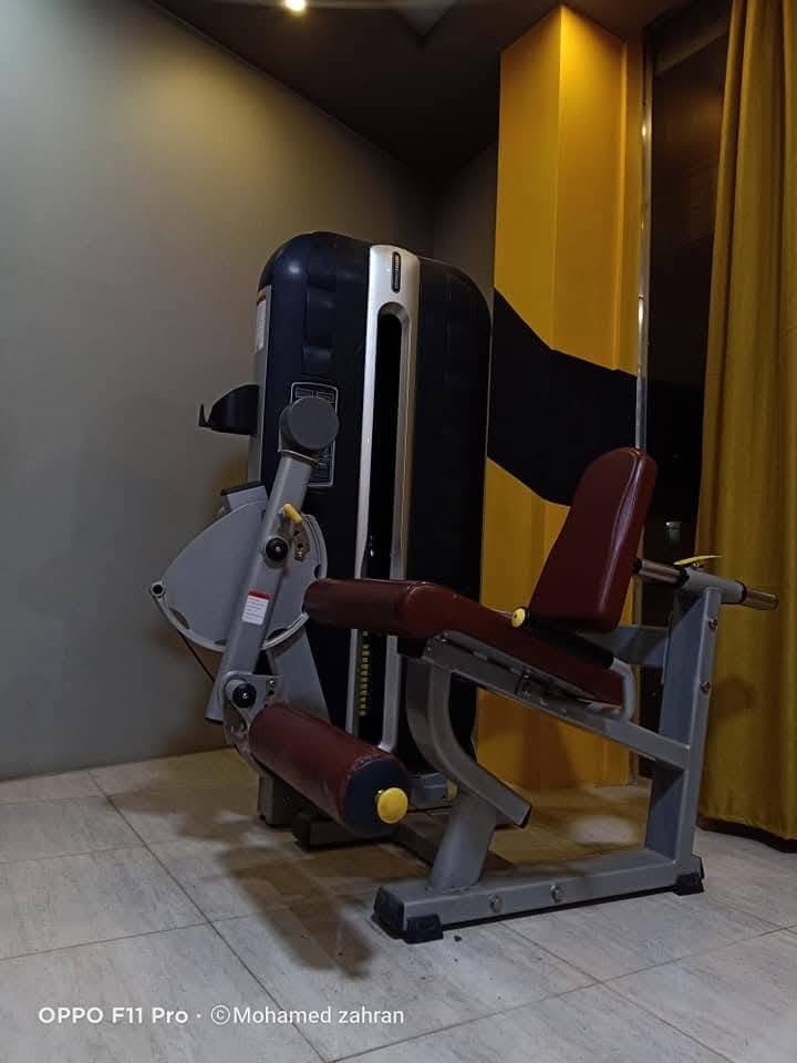 Life gym.m.zahran 2