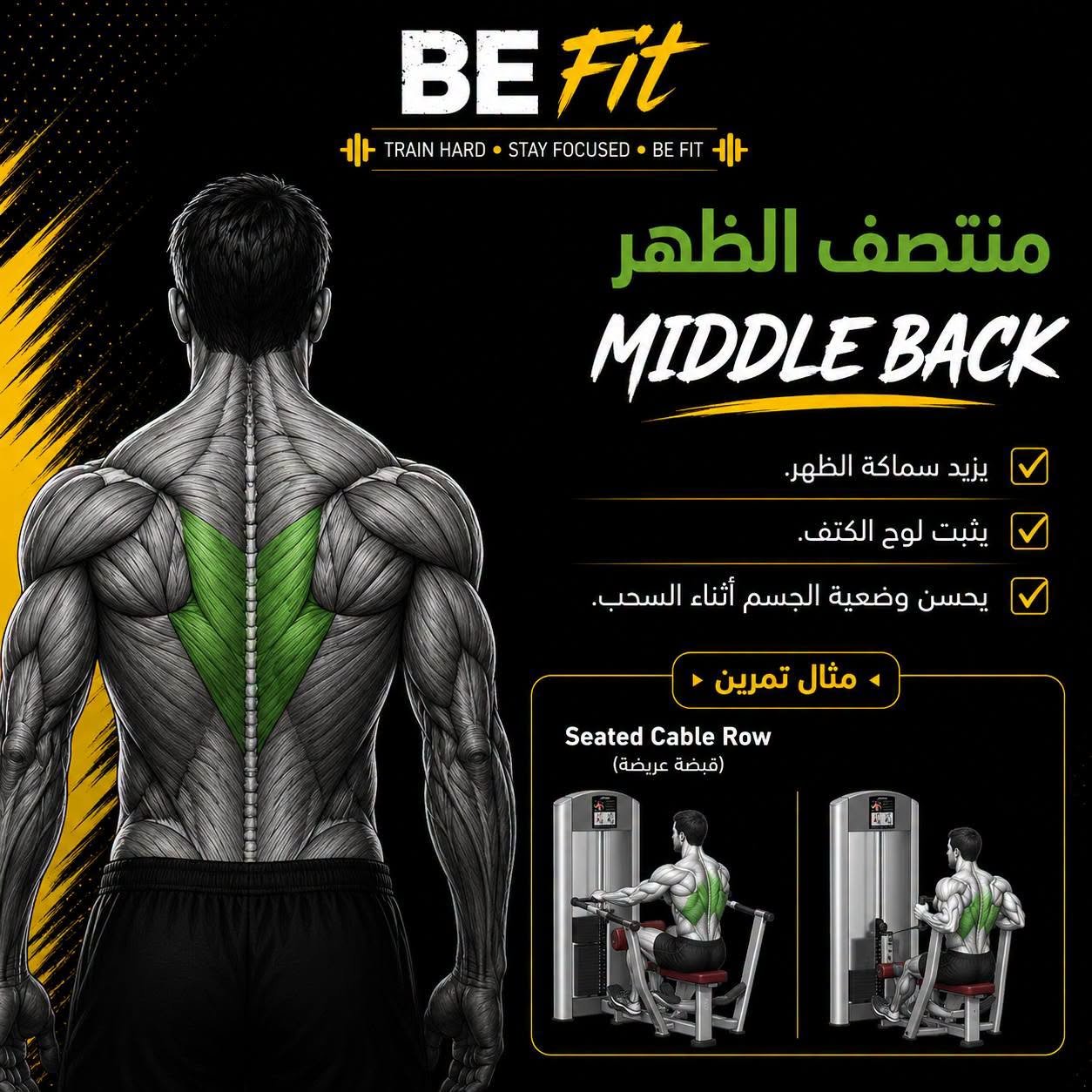 BE FiT gym | المنيا الجديدة 5