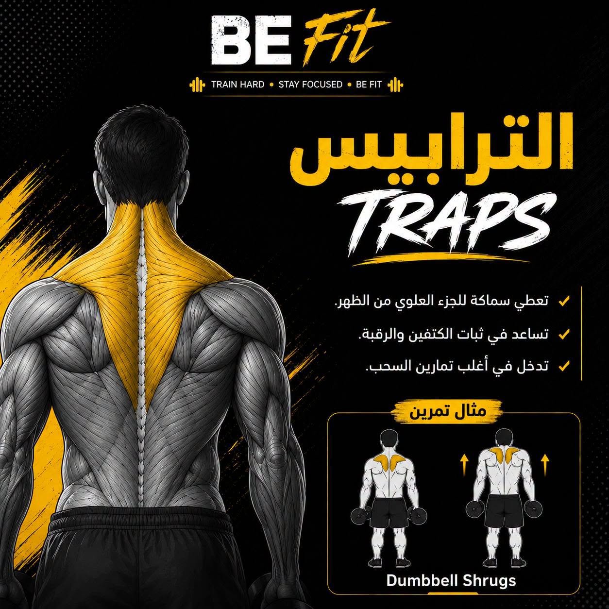 BE FiT gym | المنيا الجديدة 7