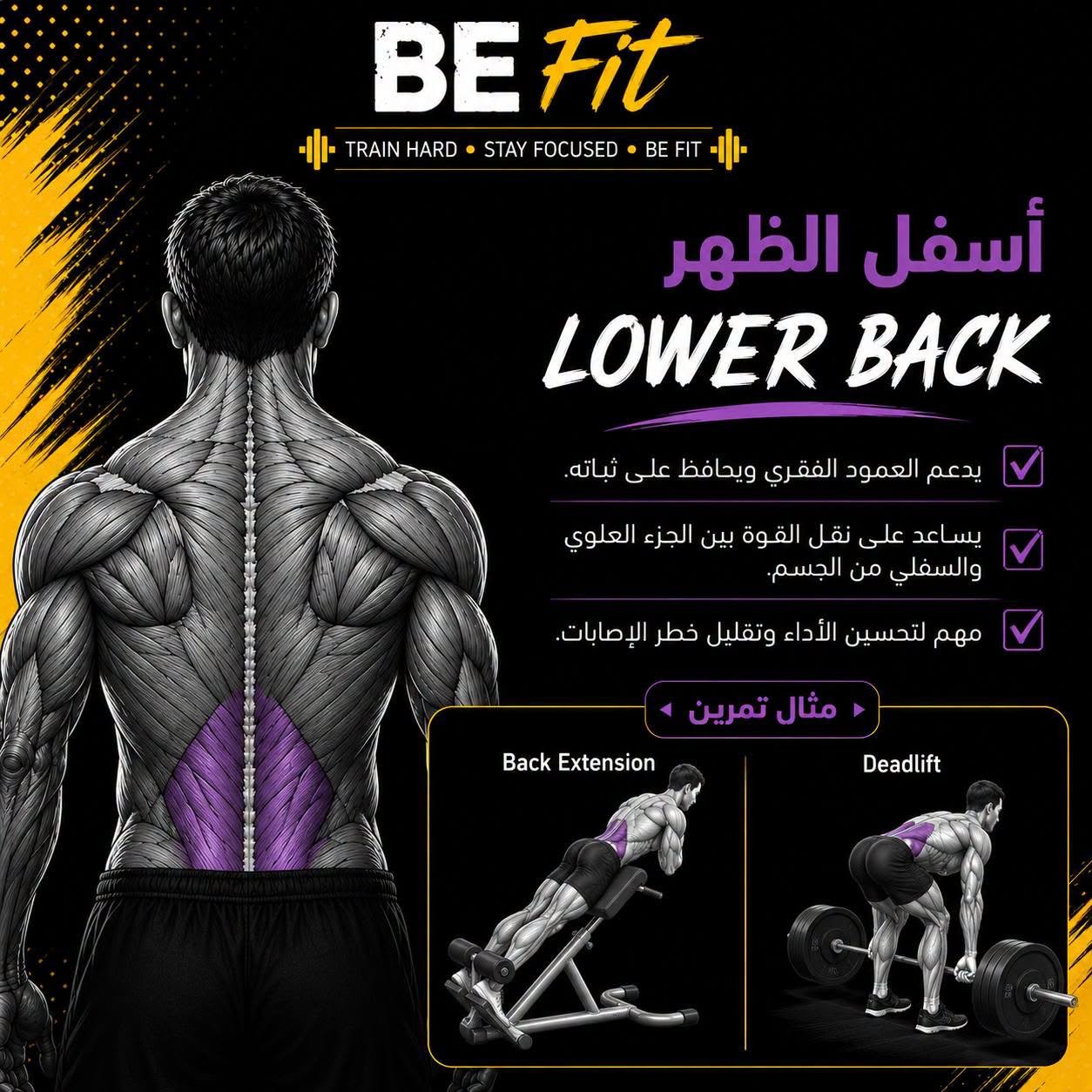 BE FiT gym | المنيا الجديدة 4