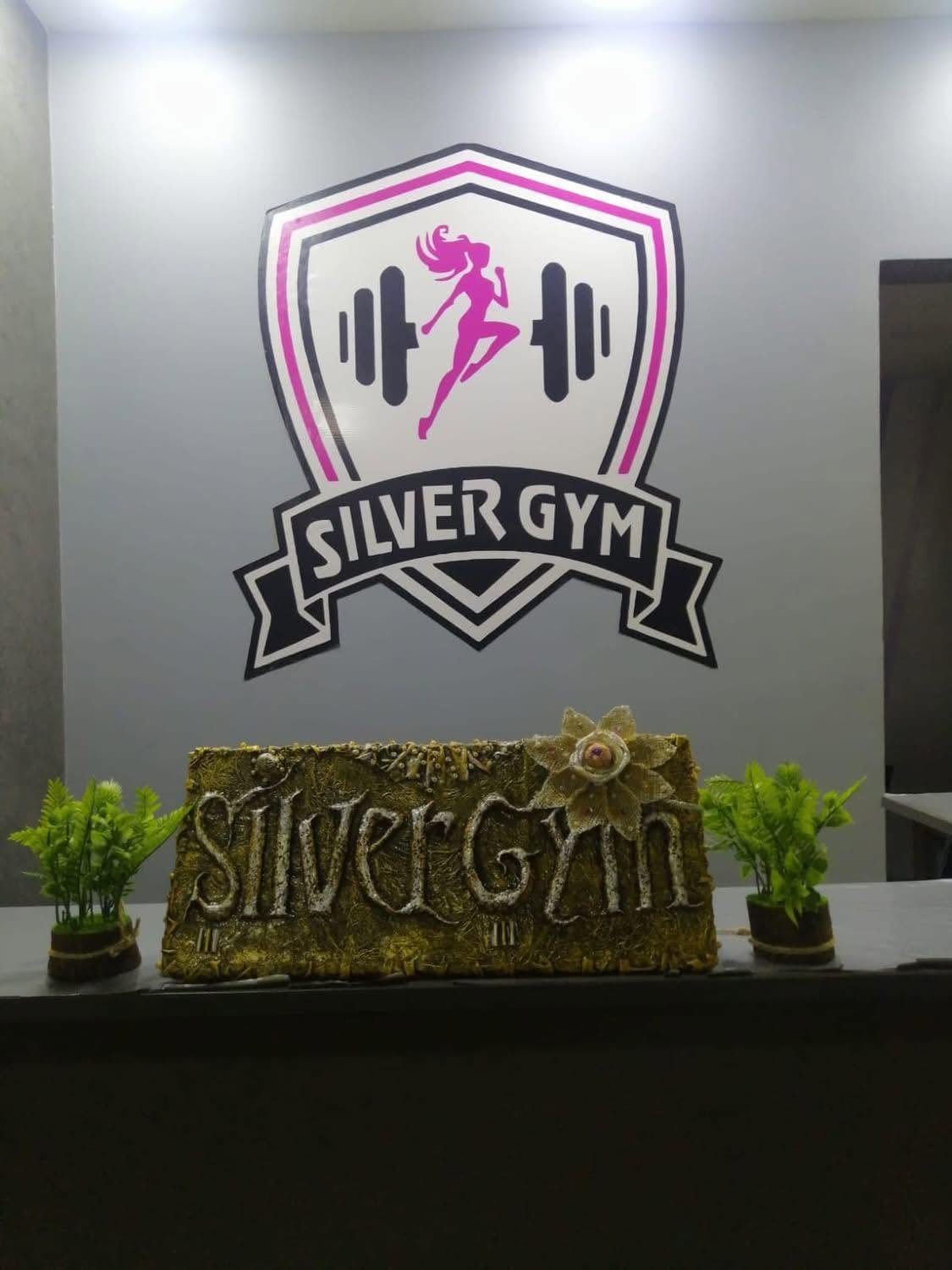 Silver Gym minya سيلفر جيم