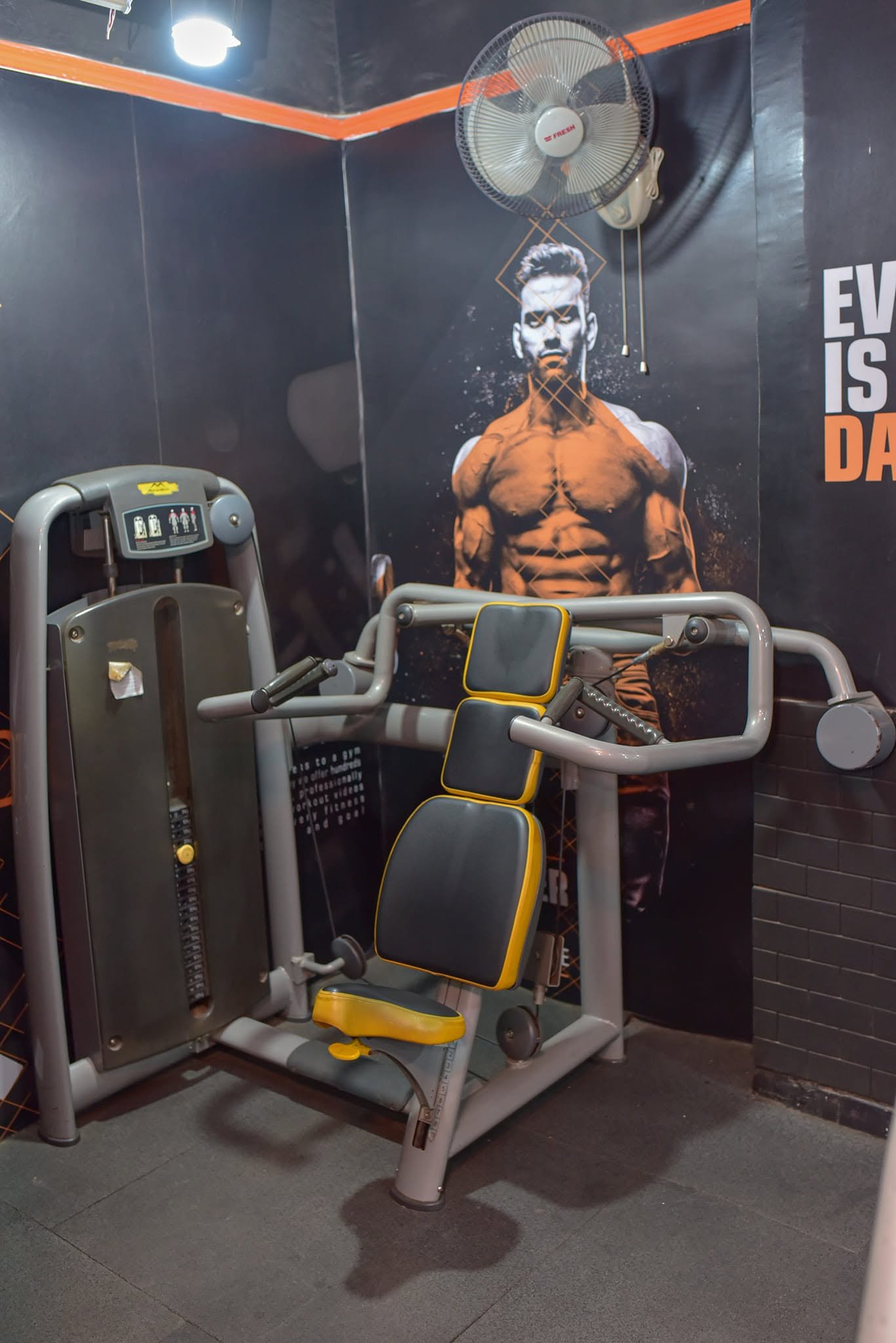 tiger gym 1