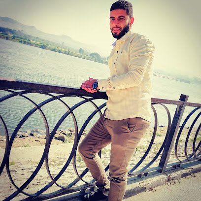 محمد عزالدين الروبي