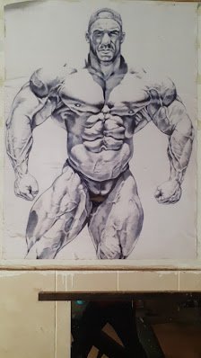 جيم السنباطى لكمال الاجسام 1