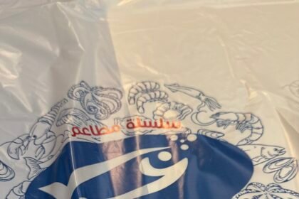 أسماك الميناء