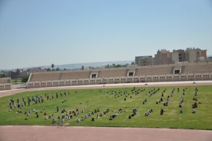 إستاد جامعة المنيا