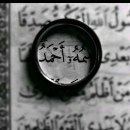 ابوطارق ماركت