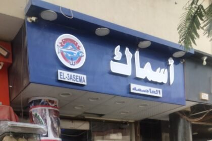 اسماك العاصمة