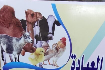 العيادة البيطرية الحديثة دكتور جوزيف لويز