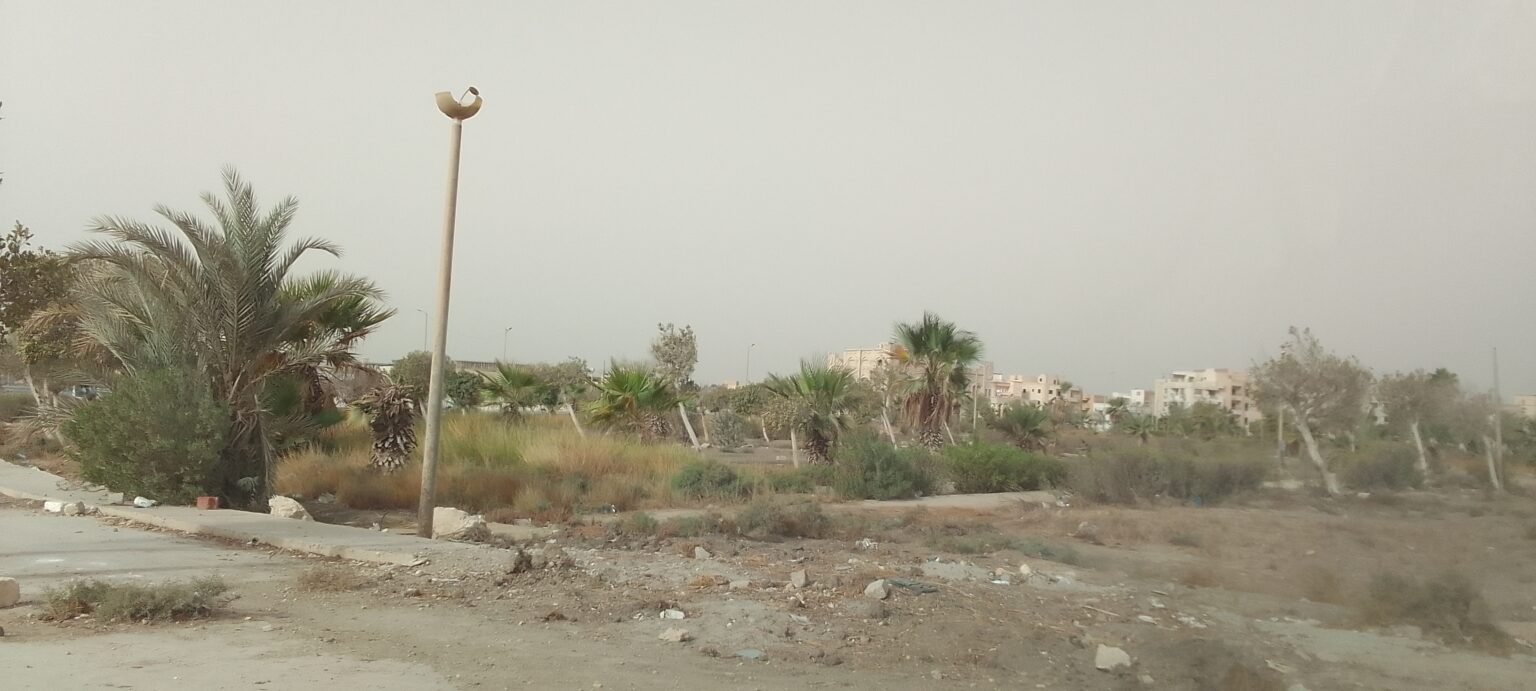 الغابة المظلمة