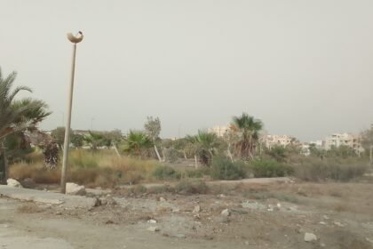 الغابة المظلمة