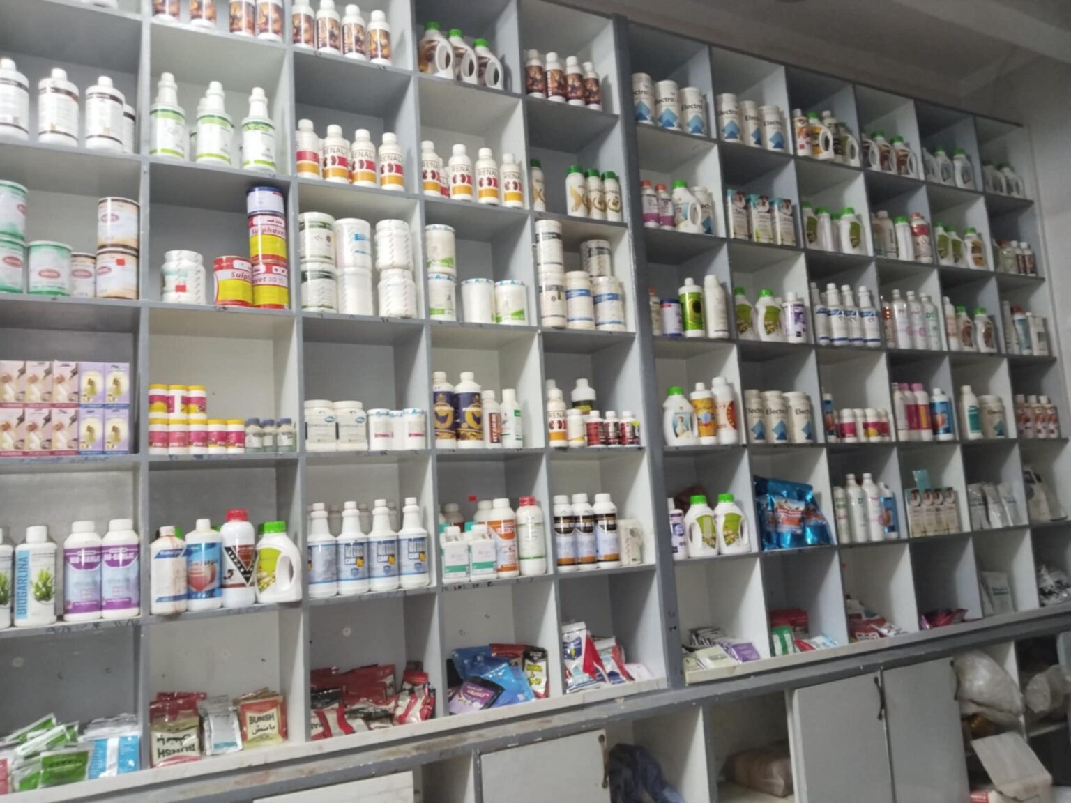 المجد للخدمات البيطرية
