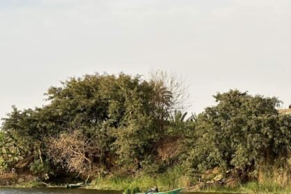 جـزيـرة الـمـنـيـــا الـكـبـري