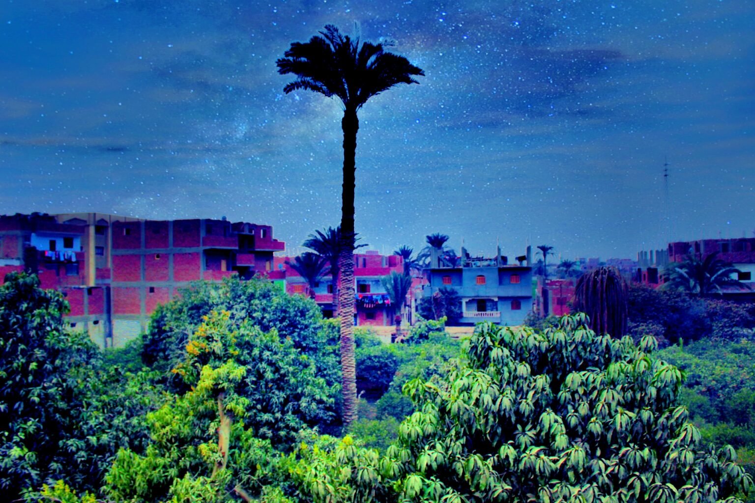 حديقة الازهري