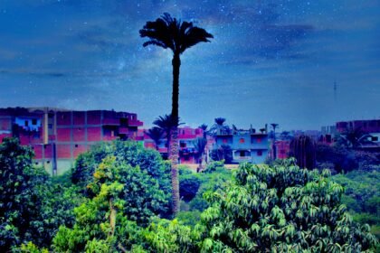 حديقة الازهري