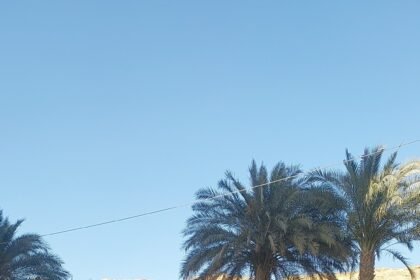 حديقة ٢٥ يناير