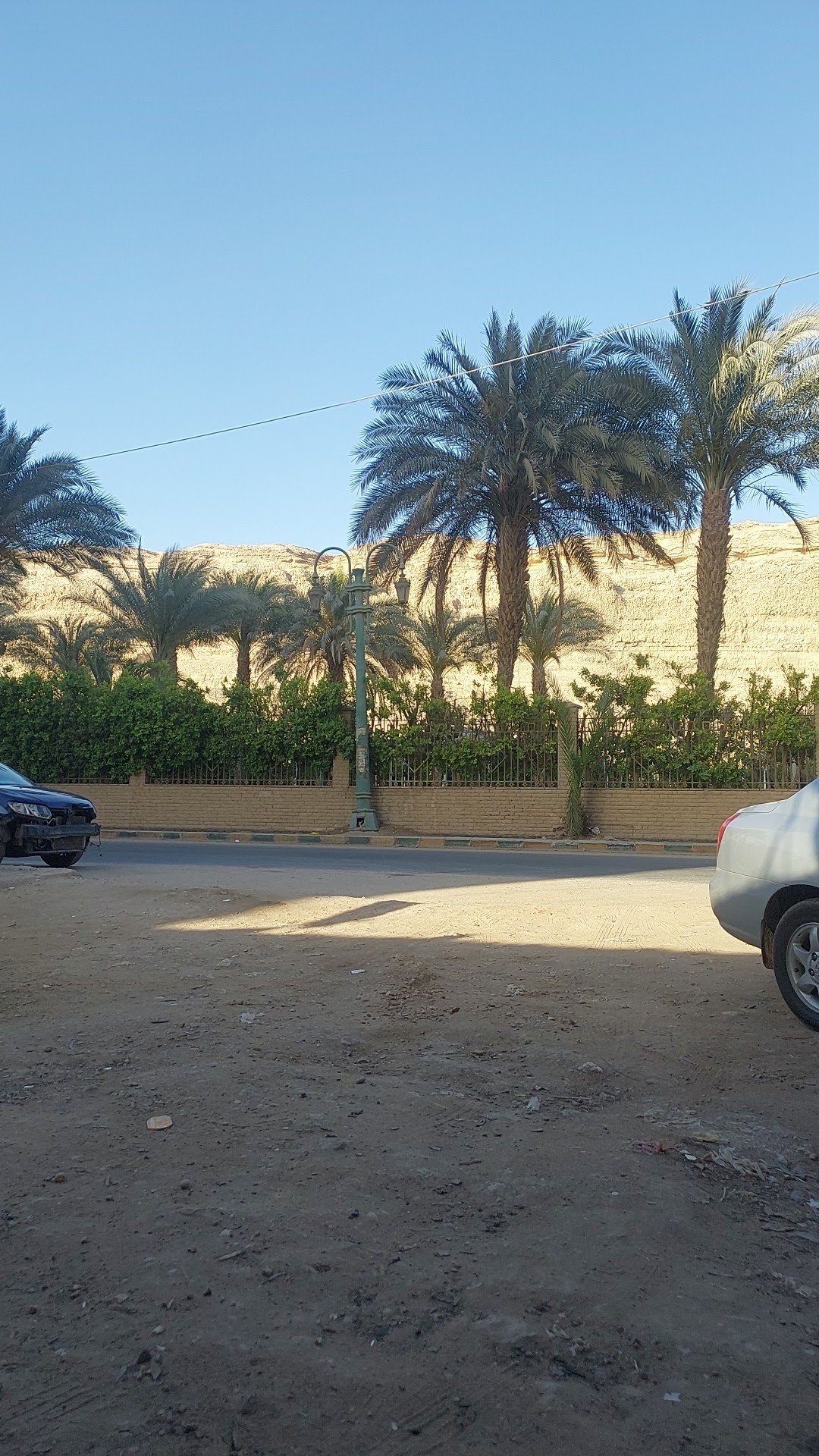 حديقة ٢٥ يناير