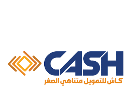 شركة كاش للتمويل متناهي الصغر- فرع المنيا