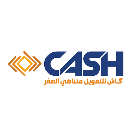 شركة كاش للتمويل متناهي الصغر- فرع المنيا