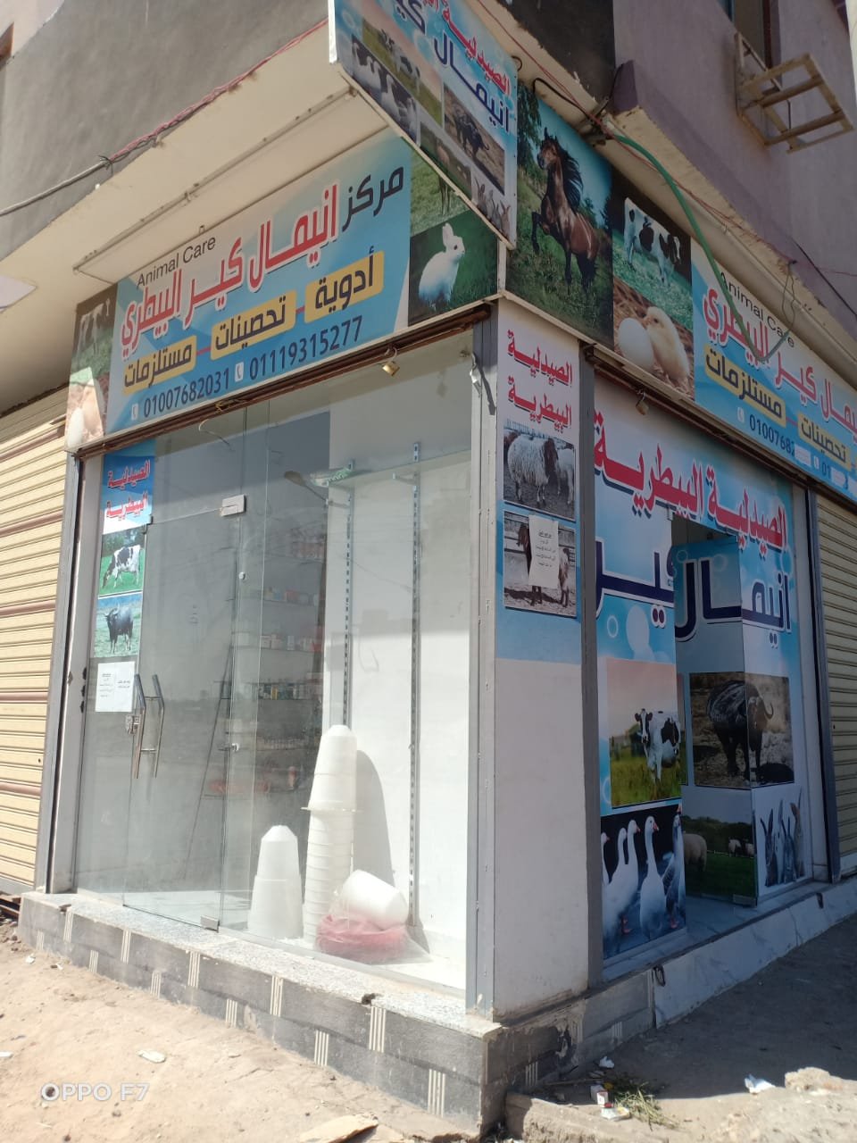 صيدلية انيمال كير البيطرية