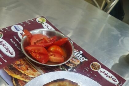 ملك الحواوشي ٢