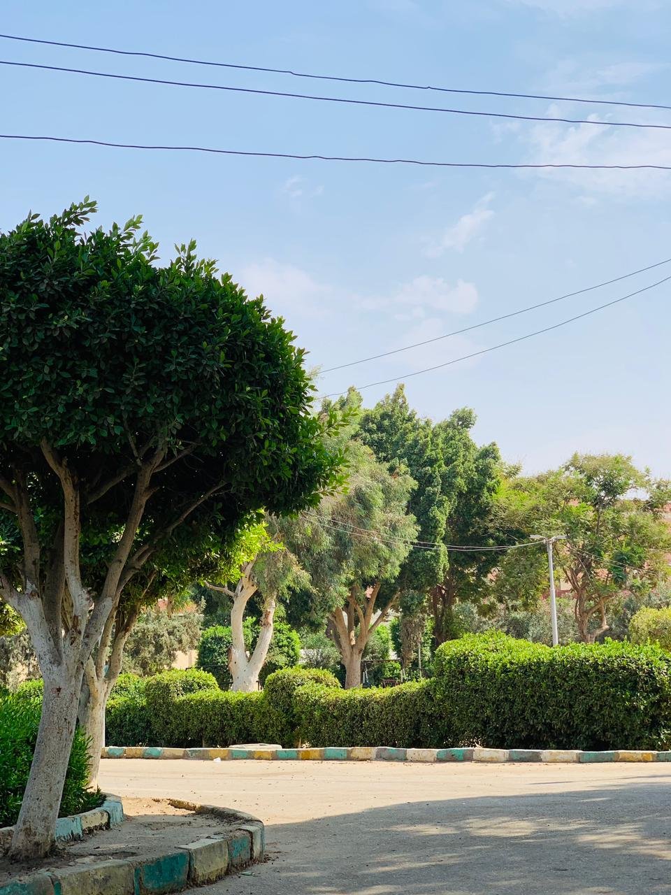 ميدان اللوتس