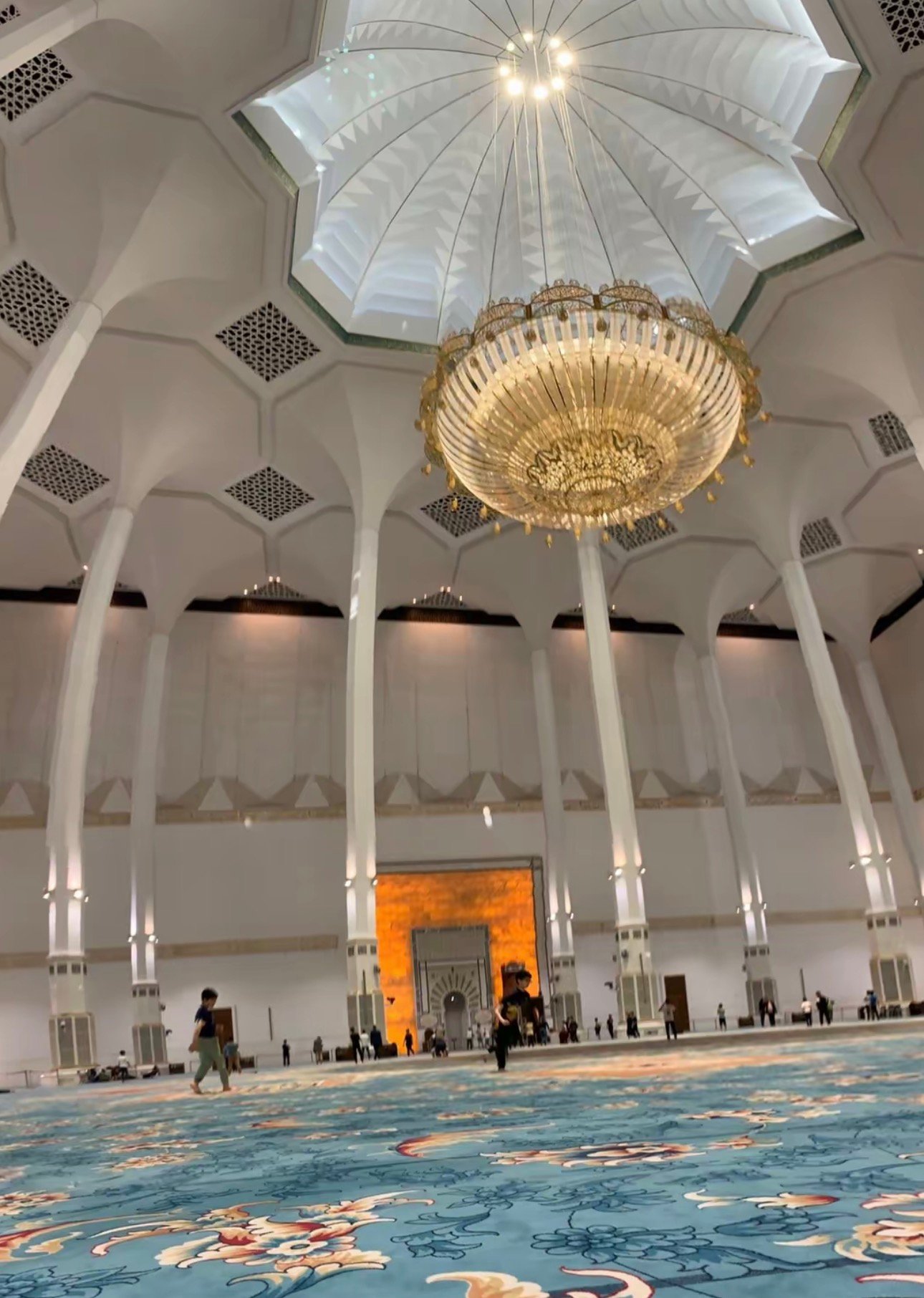 وحدة يونس صميدة البيطرية
