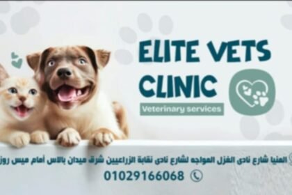 Elite vets clinic