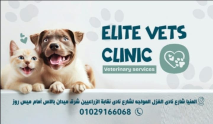 Elite vets clinic