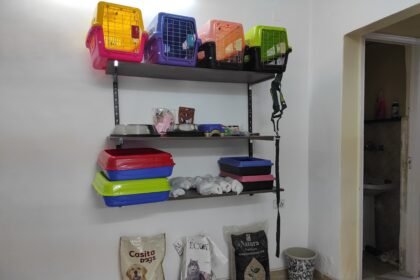 Jungle care hospital