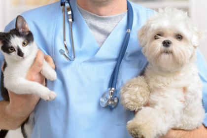 vet care
